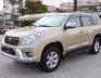 Toyota Prado TLX 2010 - Cần bán gấp Toyota Prado TLX đời 2010, ĐKLĐ 2011