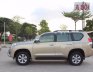 Toyota Prado TLX 2010 - Cần bán gấp Toyota Prado TLX đời 2010, ĐKLĐ 2011