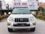 Toyota Prado TLX 2010 - Cần bán gấp Toyota Prado TLX đời 2010, ĐKLĐ 2011