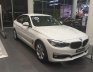 320I GT 2.0 AT 2017 - Bán ô tô BMW 3 Series 320I GT 2.0 AT sản xuất 2017, màu trắng, nhập khẩu nguyên chiếc