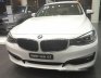 320I GT 2.0 AT 2017 - Bán ô tô BMW 3 Series 320I GT 2.0 AT sản xuất 2017, màu trắng, nhập khẩu nguyên chiếc