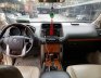 Toyota Prado TXL 2.7 2010 - Bán Toyota Prado TXL 2.7 đời 2010, màu vàng cát, nhập khẩu nguyên chiếc