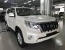 Toyota Prado 2017 - Bán Toyota Prado đời 2017, màu trắng, nhập khẩu nguyên chiếc
