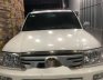 Toyota Land Cruiser 2002 - Bán ô tô Toyota Land Cruiser năm sản xuất 2002, màu trắng chính chủ, giá chỉ 480 triệu