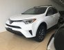 Toyota RAV4 LE 2017 - Bán Toyota RAV4 LE xuất Mỹ sản xuất 2017, đăng ký 2018