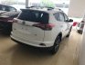 Toyota RAV4 LE 2017 - Bán Toyota RAV4 LE xuất Mỹ sản xuất 2017, đăng ký 2018