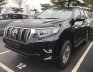 Toyota Prado VX 2018 - Cần bán Toyota Prado VX đời 2018, màu đen, nhập khẩu