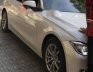 320i 2013 - Bán xe BMW 320i đời 2013, ốc tán còn 7 màu