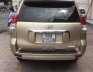 Toyota Prado 2010 - Bán Toyota Prado sản xuất năm 2010, xe nhập như mới