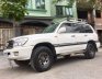 Toyota Land Cruiser 4x2 MT  1999 - Bán Toyota Land Cruiser 4x2 MT 1999, màu trắng, xe nhập, 320 triệu