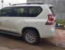 Toyota Land Cruiser 2016 - Cần bán xe Toyota Land Cruiser sản xuất năm 2016, màu trắng, xe nhập