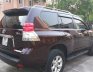 Toyota Prado 2009 - Cần bán xe Toyota Prado 2.7 AT đời 2009