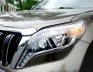 Toyota Land Cruiser Prado 2013 - Cần bán xe đăng ký 2013 xe gia đình, giá thương lượng