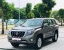 Toyota Land Cruiser Prado 2017 - Xe màu xám