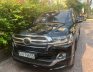 Toyota Land Cruiser 2021 - Cần bán xe 4.6 Exective Lounge full kịch đồ
