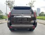 Toyota Land Cruiser Prado 2019 - Đẹp không có chiếc thứ 2 trên thị trường