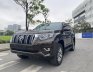 Toyota Land Cruiser Prado 2019 - Đẹp không có chiếc thứ 2 trên thị trường