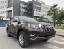 Toyota Land Cruiser Prado 2019 - Đẹp không có chiếc thứ 2 trên thị trường