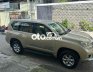 Toyota Land Cruiser Prado  LANDCRUISER PRADO TX-L 2 Cầu 2010 2009 - TOYOTA LANDCRUISER PRADO TX-L 2 Cầu 2010