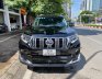 Toyota Land Cruiser Prado 2019 - Chạy 5,3 vạn km
