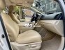 Toyota Venza   2.7AT FULL OPTION TRẮNG NHẬP MỸ 2010 - TOYOTA VENZA 2.7AT FULL OPTION TRẮNG NHẬP MỸ
