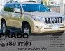 Toyota Land Cruiser Prado 2.7 TXL 2010 - Bán xe Toyota Land Cruiser Prado 2.7 TXL đời 2010, màu vàng, nhập khẩu, 789 triệu