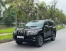Toyota Land Cruiser Prado 2021 - Bán xe Toyota Land Cruiser Prado 2021, màu đen, xe nhập