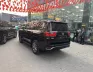 Toyota Land Cruiser LC300 2025 - LC300 2025 vừa đăng ký 15/1/2025 Xong xe lên full trung đông 